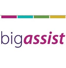 Big Assist Approved Consultant
